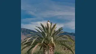 Limbo