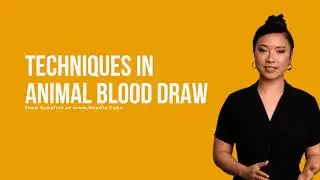 www.Needle.Tube - Techniques In Animal Blood Draw