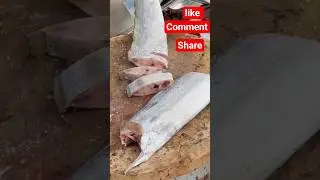 amezing fish cutting/ akjon muslim mara gele ja kora ucit #fishing #fishinglife #shortsfeed #waz
