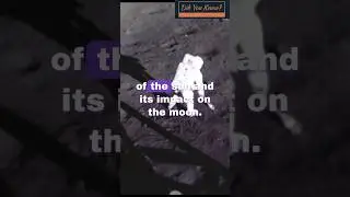 Hidden Moon Secrets: Solar Wind Collector #youtubeshorts #space #viral #didyouknow #universe #trend