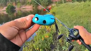 Pescaria de Traíras na Monster z60, As Traíras Ficam todas ali no finalzinho da tarde!!