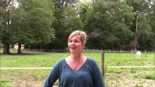 Formation devenir equicoach temoignages promo hiver 2020