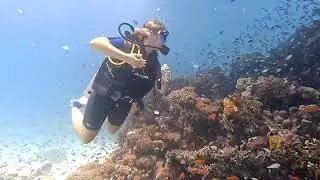 Diving in Hurghada - Come and join us for an amazing Diving experience in Hurghada, Egypt