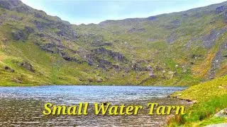 Wild Trout from Small Water Tarn, Lake District, UK