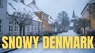 Snowy Denmark Early Morning 🇩🇰❄️ | Cozy Danish Winter Travel Experience