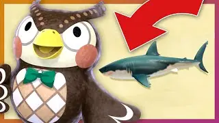 June Fish & Bug Guide | Animal Crossing New Horizons