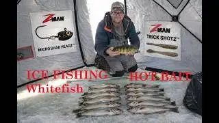 Ice Fishing Whitefish (Hot Bait) NFN Icehole Adventure #3 2026 Door County