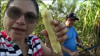 Cuando uno quiere algo solo va y corta que viva el campo 🫣🫣👍👍