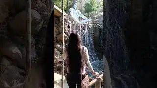 har pal ko enjoy kro🦚#newvideo #goodnature #nature #shortvideo #youtubeshorts