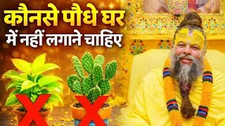 ये पौधे घर में है तो तुरन्त उखाड़कर फेक दो वरना बर्बाद हो जाओगे | प्रेमानंद जी महाराज |
