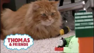 Fisher-Price Percy's Midnight Mail Delivery Assembly Instructions | Thomas & Friends 2018