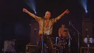 The WildKatz Yesterday Once More at  Bream 2003