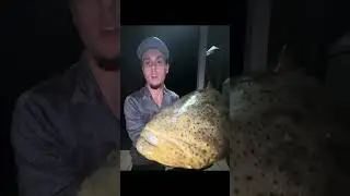 Crazy night ending off with this beast 40 pound Goliath easily a 10 min throw down!