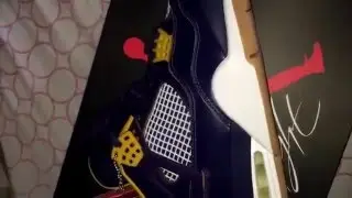 Air Jordan 4 dunk from above