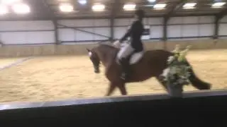 Ulysse de Roloux Chiltern and Thames Dressage Championships 2014