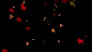 red autumn leaves futage  Красные осение листья падают футаж под музыку на черном фоне
