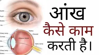 OPTICAL INSTRUMENTS| How does Human Eye Works? Ray Optics Physics in Hindi