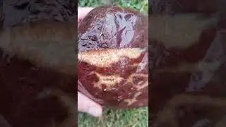 A large piece of jasper with veins of agate and calcite