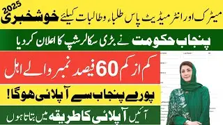 Government of Punjab Scholarship scheme 2025|How apply online in peef special quota scholarship 2025