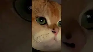 That looks 😻