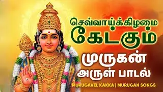 Tuesday Special Murugan Songs | Chinna Chinna Murugaiyaa | Murugavel Kakka | #tuesdaymurugansong