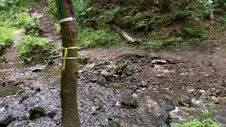 Wonder Hunting in Scotland: The Fairy Glen and the Clootie Tree