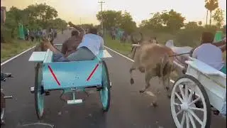 rekala race
