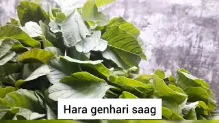 Genhari saag recipe 