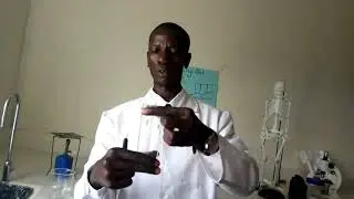 Practical Lesson 10; Test for Non-Reducing Sugars