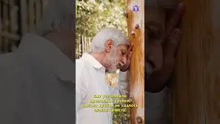 Умер горско-еврейский певец Ефрем Амирамов
