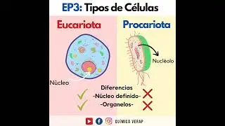 Células eucariotas y Procariotas - Podcast de Ciencia