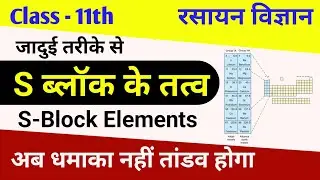 S - BLOCK ELEMENTS in One Shot - All Concepts, Tricks & PYQs | Class 11 | NEET