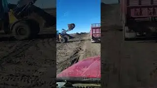 Manure loading / Cargando esti&eacute;rcol #farming #manure