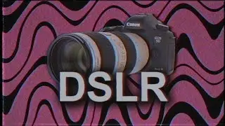 The 