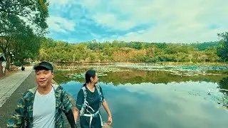 【手機影像遊記】深圳五園連通篇～北上行山兩日，休閒遊走5園，從容登頂5山，起點少年宮地鐵站，終點下梅林地鐵站，全程共21公里，總爬升900米 (粵語旁白/CC字幕)［4K］