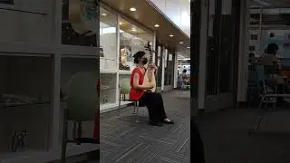Wendy Zhou pipa 琵琶 concert at library, 2022 summer Rogers&lsquo; outage