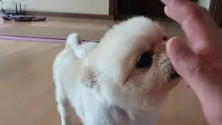 Hi5ive