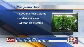 rosamond drug bust
