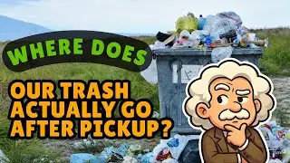 Куда девается наш мусор после того, как его забирает мусоровоз? [ID1602]