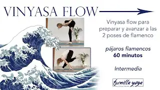 Vinyasa Flow 60 minutos | intermedia - Los Pájaros Flamencos - fuerza abdominal - Español