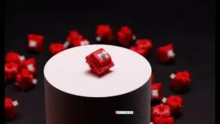 cola switch typing sound [Full POM switches]