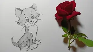 Baby Tom Cat drawing for beginners || How to draw Tom Cat easy step by step || Tom Drawing for kids