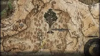 ELDEN RING&trade; Minor Erdtree Altus Plateau Exploration