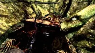 Skyrim | Darkshade