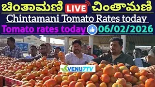 #06/02/2026 #today Chintamani tomato rates #Chintamani tomato market rates #tomato rates #Venu7tv 