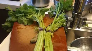 STIR FRY CELERY AND FRIED RICE FOR MY LUNCH #celeryrecipes #celery #freshvegetables