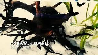 #VGPMarineKingdom | Marine Life at Home or Office with our Imported Custom Aquarium!