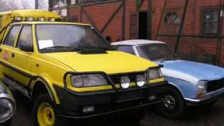 polonez analog
