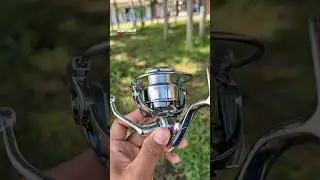 Seasir Expert Luxury Spinning Reel Affordable Price #seasir #seasirexpert #reelpancing #reelspinning