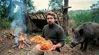 Camping on the Ground Without a Tent &ndash; Wild Boar Walked Into My Camp